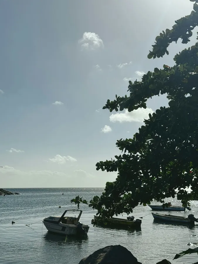 St. Kitts & Nevis